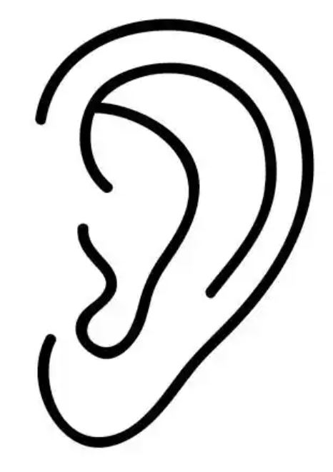 DIVARTY Commander's Ear